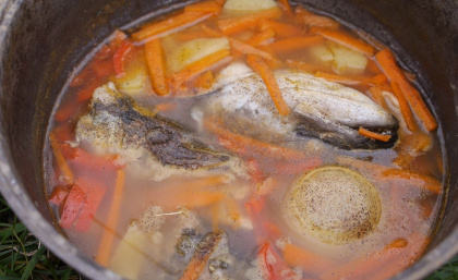 Уха зі щуки